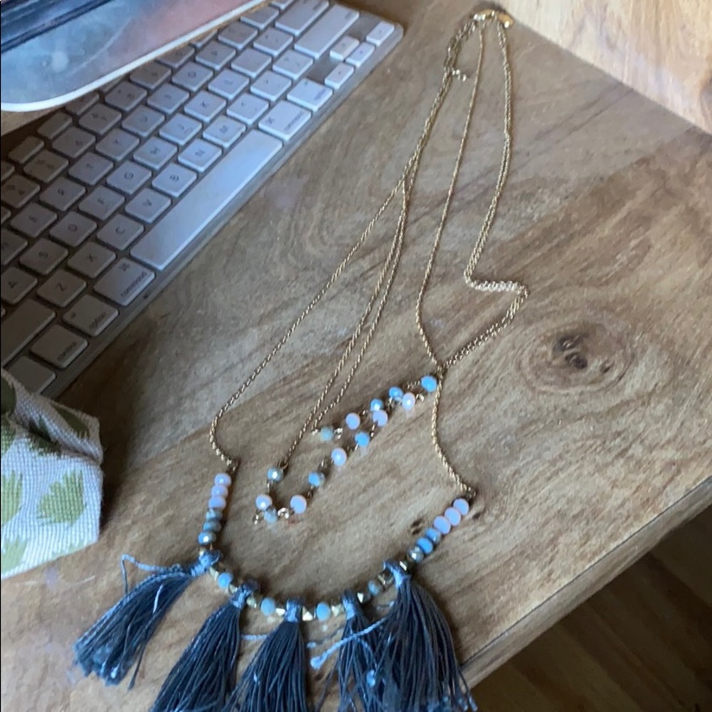 Charming Charlie Tassel Necklace